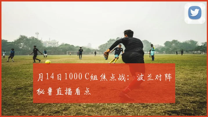 月14日1000 C组焦点战：波兰对阵秘鲁直播看点
